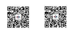 重庆91视频色版APP