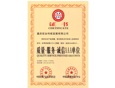 重庆91视频网站在线观看设计