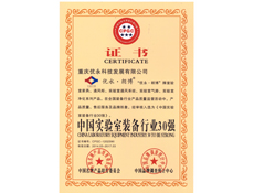 重庆91视频网站在线观看设计