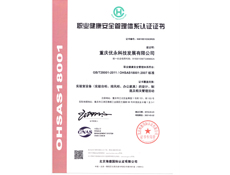 重庆91视频网站在线观看设计